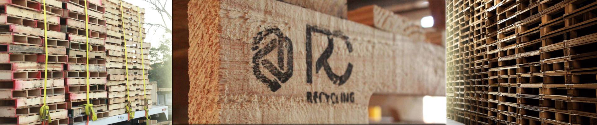 Descripción de la imagen